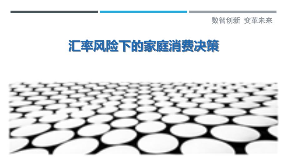 汇率风险下的家庭消费决策最佳分析_第1页
