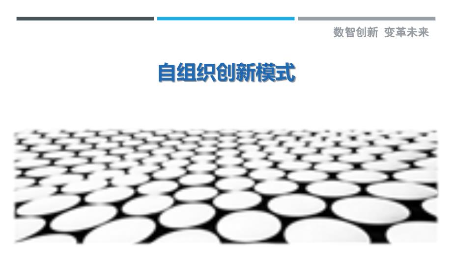 自组织创新模式最佳分析_第1页