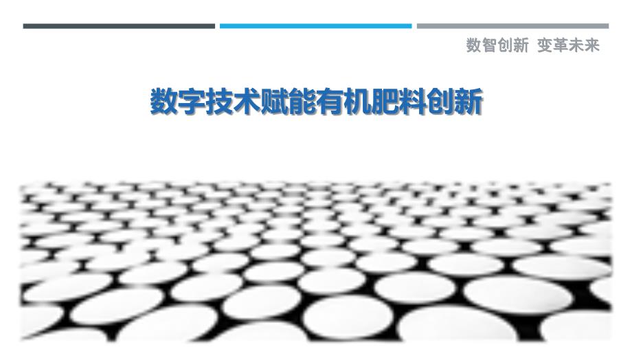 数字技术赋能有机肥料创新最佳分析_第1页