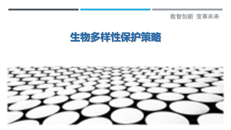 生物多样性保护策略-第16篇最佳分析_第1页