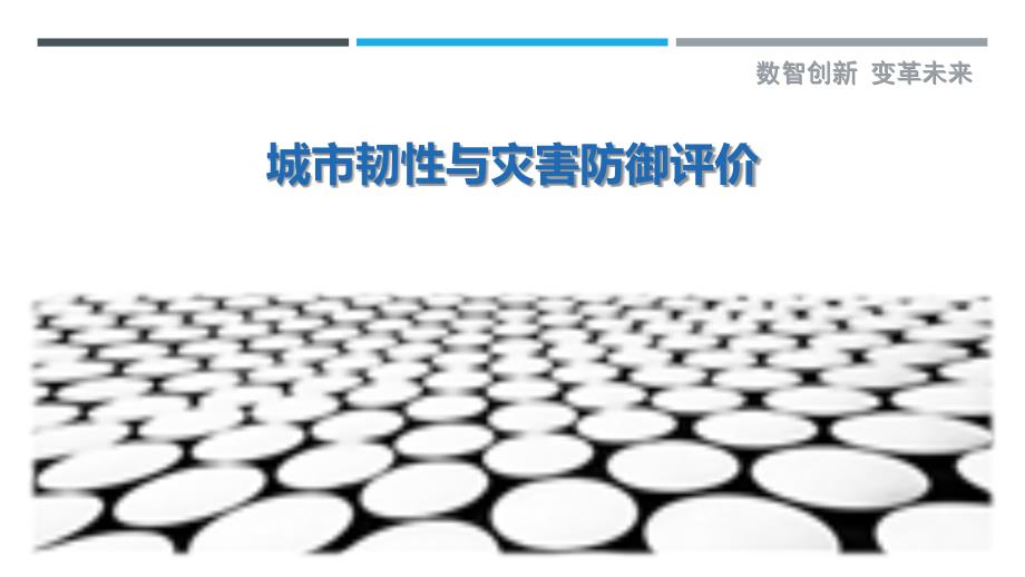 城市韧性与灾害防御评价最佳分析_第1页