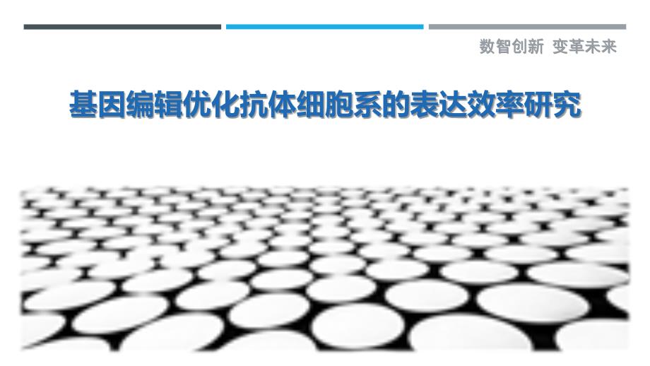 基因编辑优化抗体细胞系的表达效率研究最佳分析_第1页