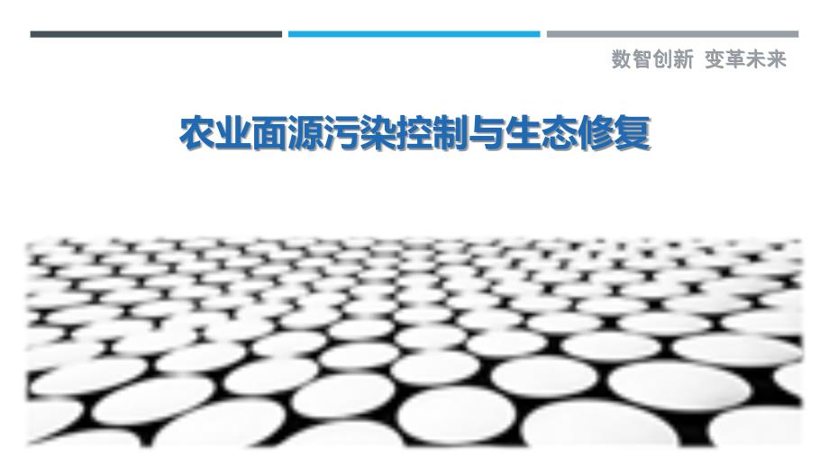 农业面源污染控制与生态修复最佳分析_第1页
