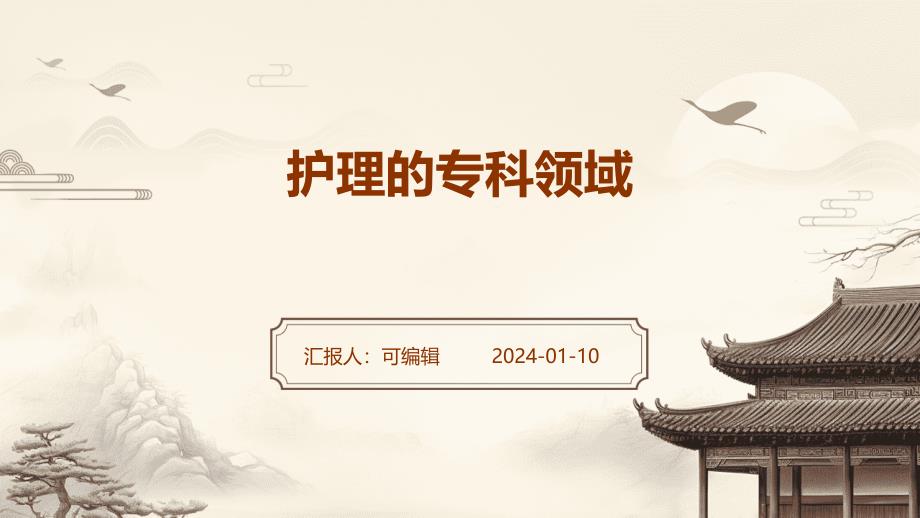 护理的专科领域_第1页