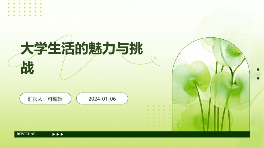 大学生活的魅力与挑战_第1页