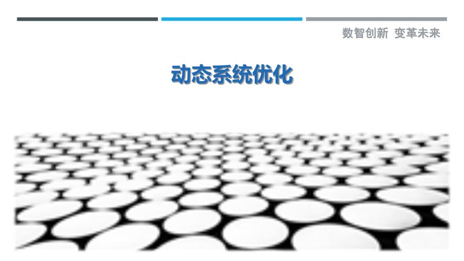 动态系统优化最佳分析_第1页
