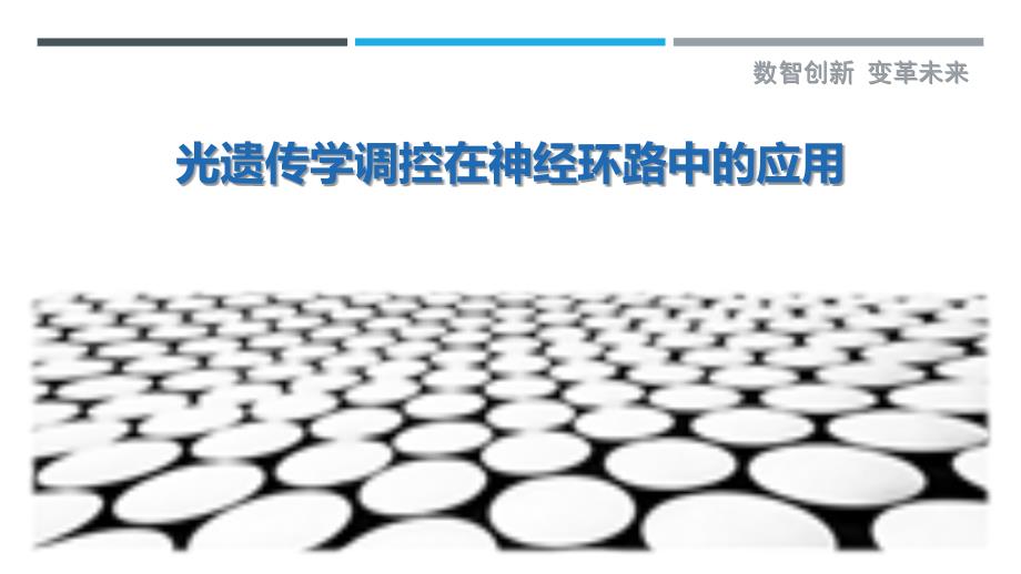 光遗传学调控在神经环路中的应用最佳分析_第1页