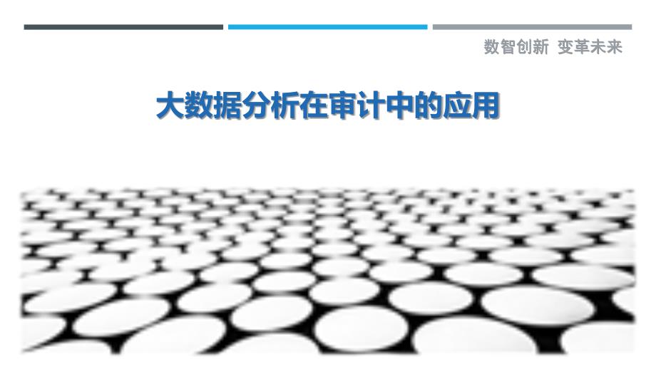 大数据分析在审计中的应用最佳分析_第1页