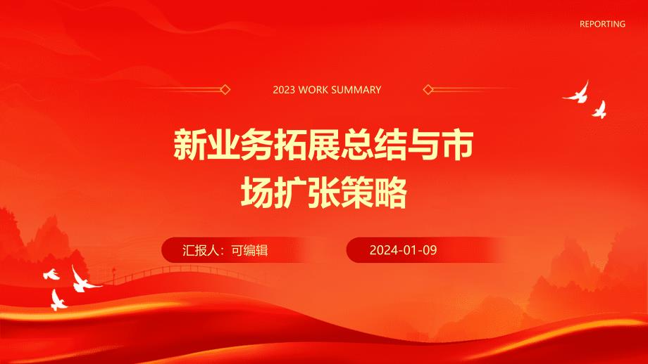 新业务拓展总结与市场扩张策略_第1页