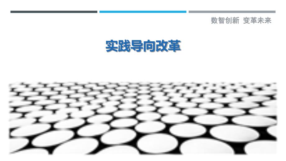 实践导向改革最佳分析_第1页