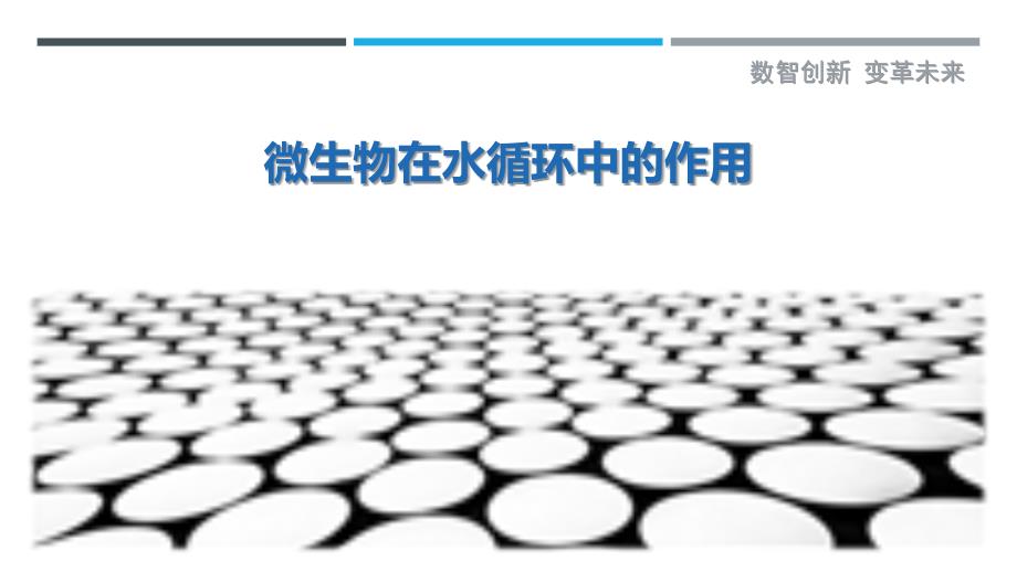 微生物在水循环中的作用最佳分析_第1页