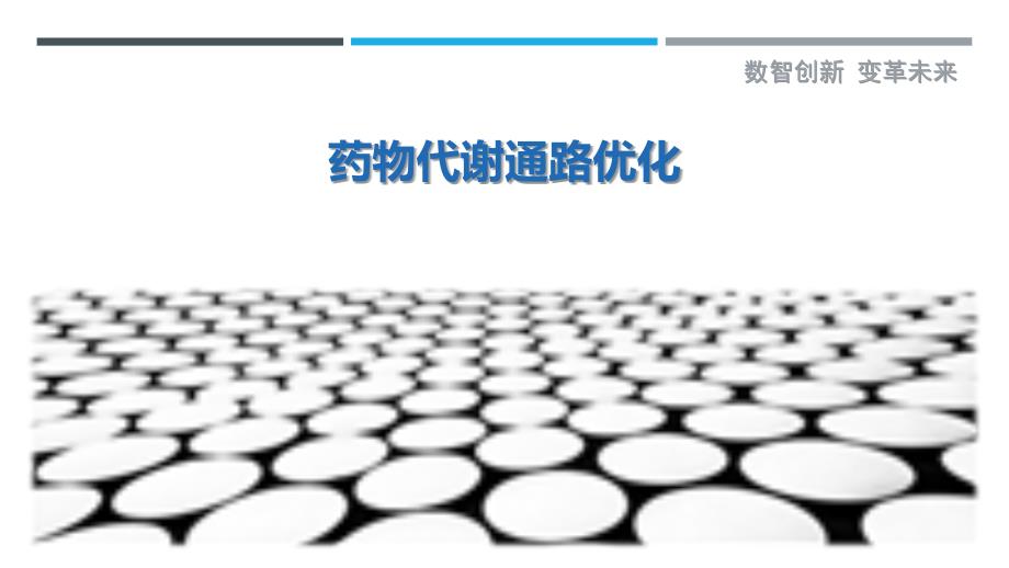 药物代谢通路优化最佳分析_第1页