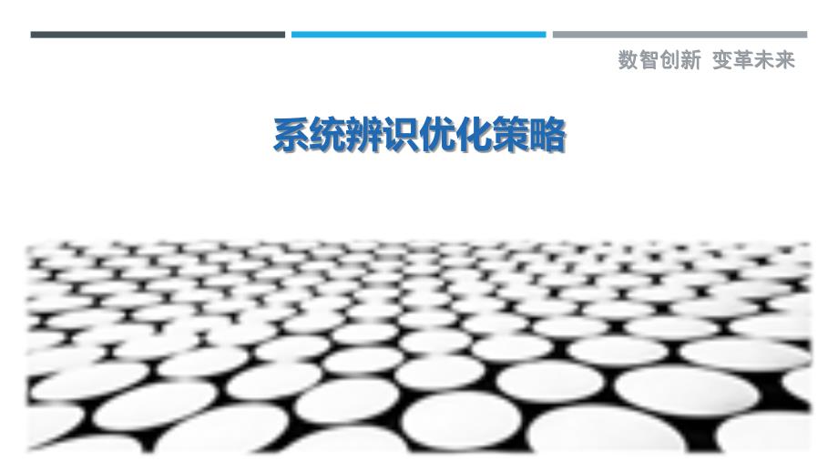系统辨识优化策略最佳分析_第1页