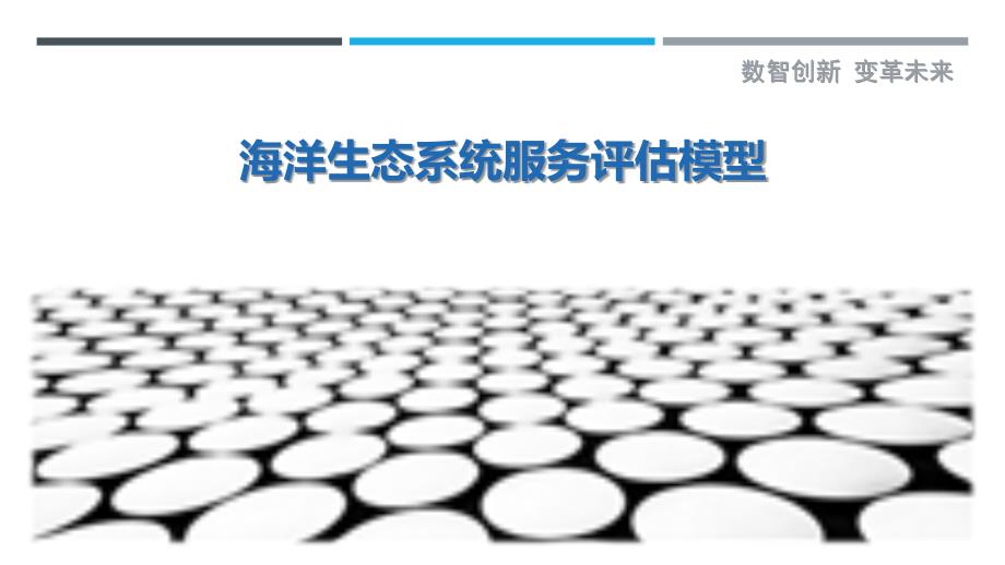 海洋生态系统服务评估模型最佳分析_第1页