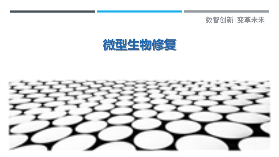 微型生物修复最佳分析_第1页