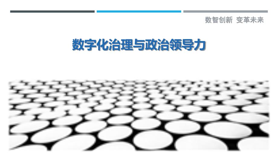 数字化治理与政治领导力最佳分析_第1页