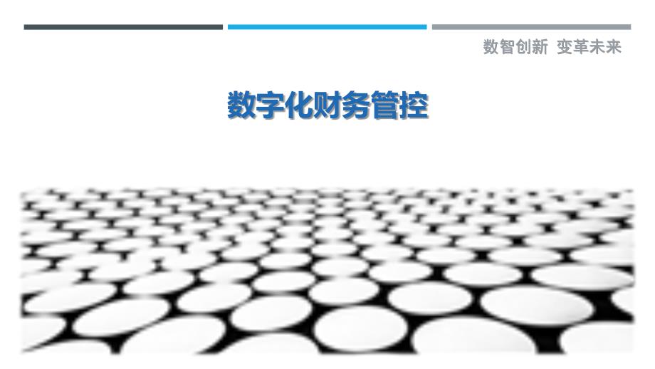 数字化财务管控最佳分析_第1页