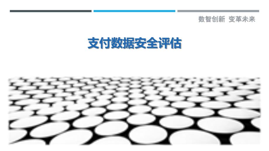 支付数据安全评估-第1篇最佳分析_第1页