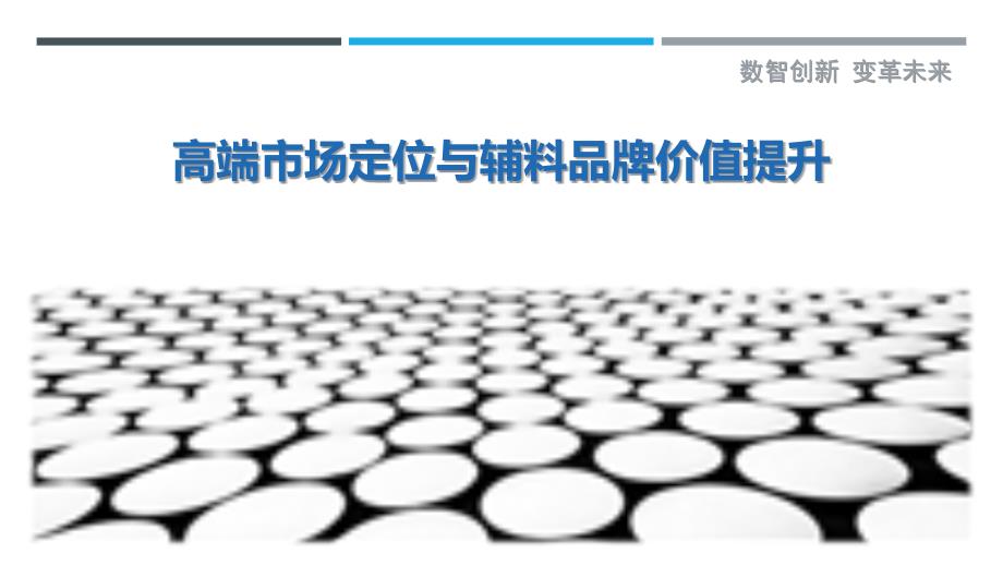 高端市场定位与辅料品牌价值提升最佳分析_第1页