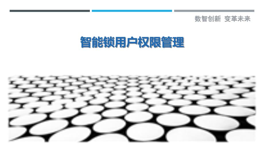 智能锁用户权限管理最佳分析_第1页
