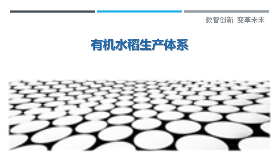 有机水稻生产体系最佳分析_第1页