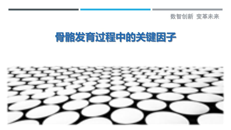 骨骼发育过程中的关键因子最佳分析_第1页
