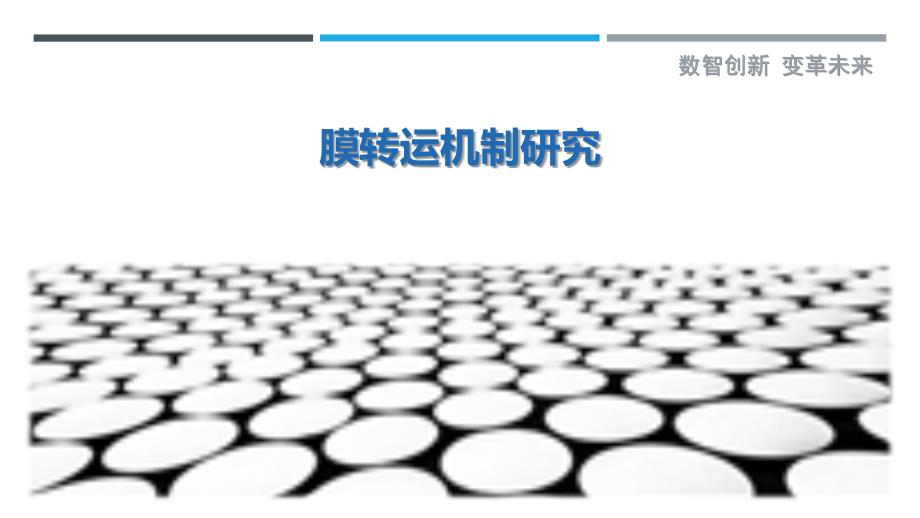 膜转运机制研究最佳分析_第1页