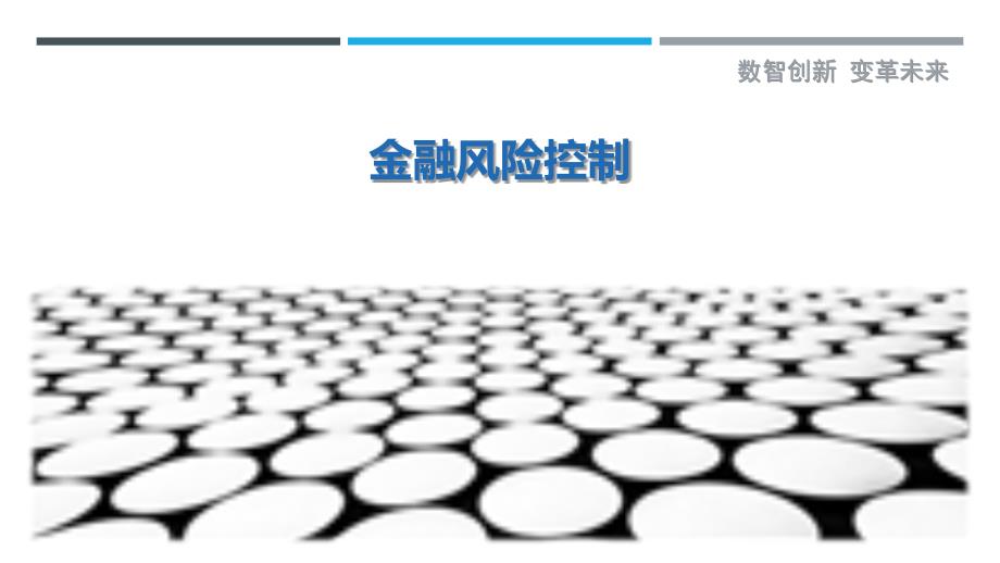 金融风险控制最佳分析_第1页