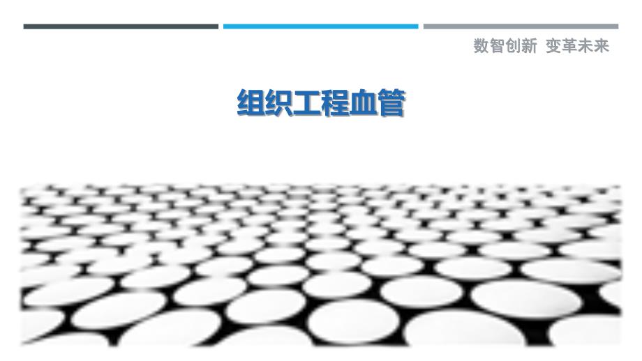 组织工程血管最佳分析_第1页