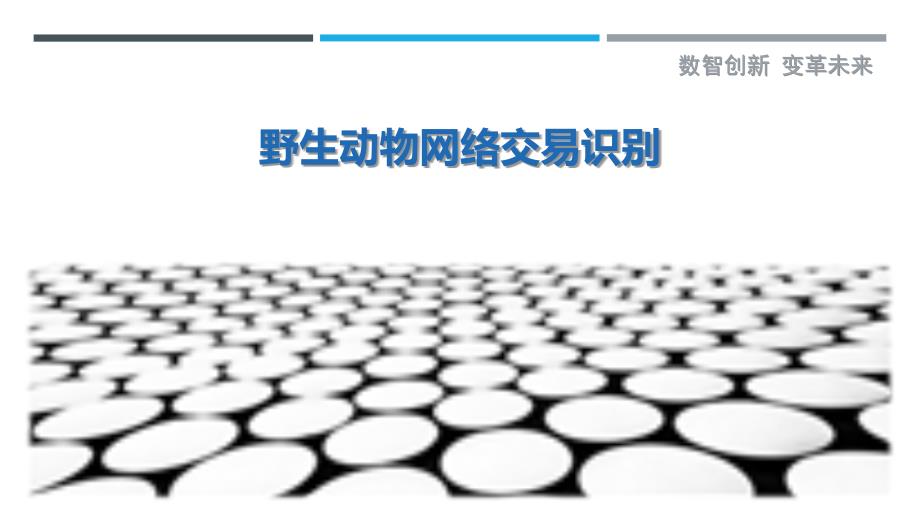 野生动物网络交易识别最佳分析_第1页