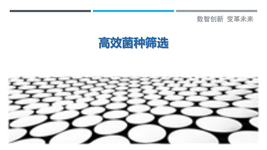 高效菌种筛选-第1篇最佳分析_第1页