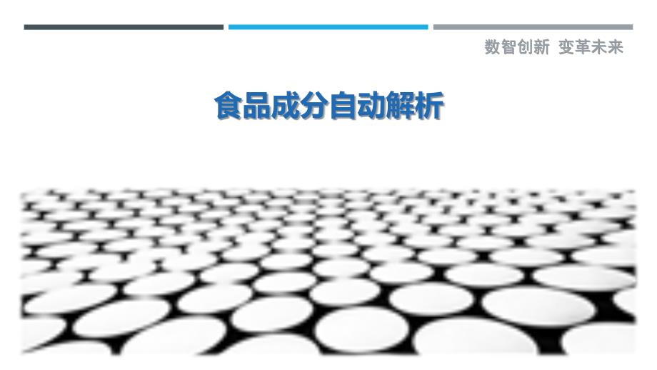 食品成分自动解析最佳分析_第1页