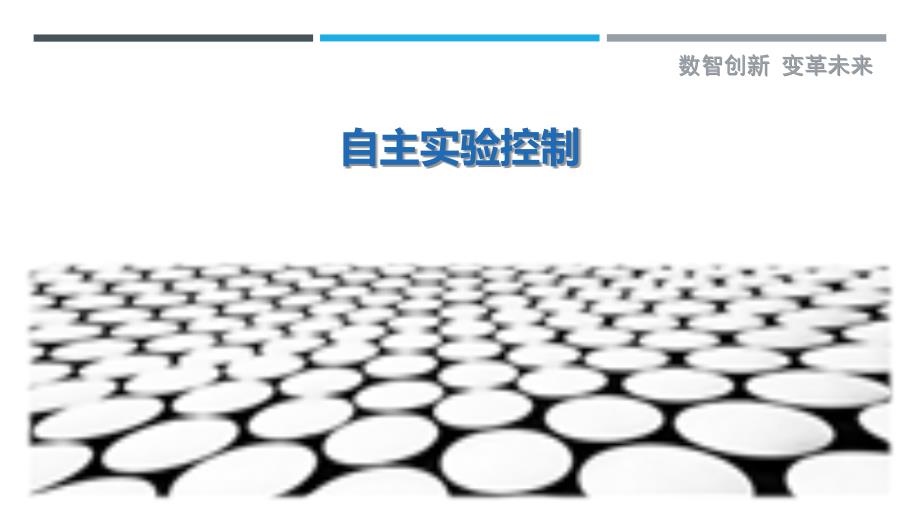 自主实验控制最佳分析_第1页