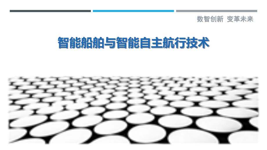 智能船舶与智能自主航行技术最佳分析_第1页