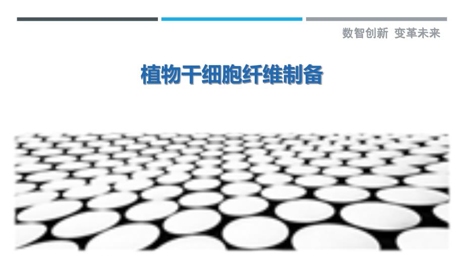 植物干细胞纤维制备最佳分析_第1页