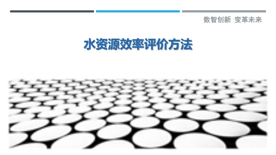 水资源效率评价方法最佳分析_第1页