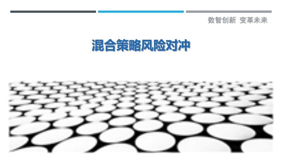 混合策略风险对冲最佳分析_第1页