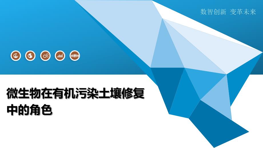 微生物在有机污染土壤修复中的角色-洞察及研究_第1页