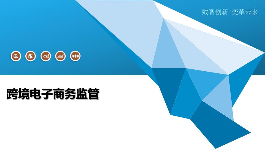 跨境电子商务监管-洞察及研究_第1页