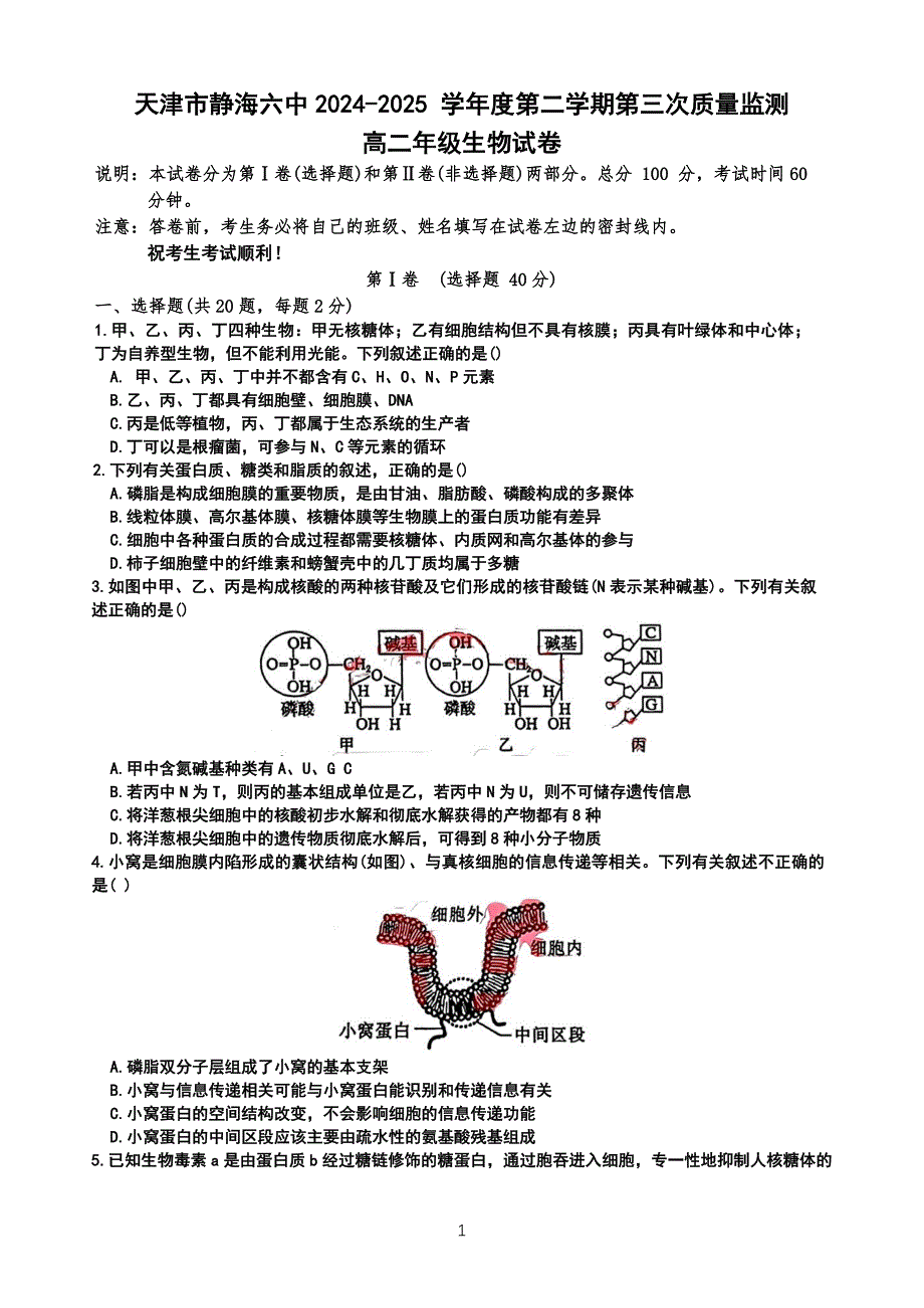 天津市静海六中2024-2025 学年度第二学期第三次质量监测高二年级生物试卷（含答案）_第1页