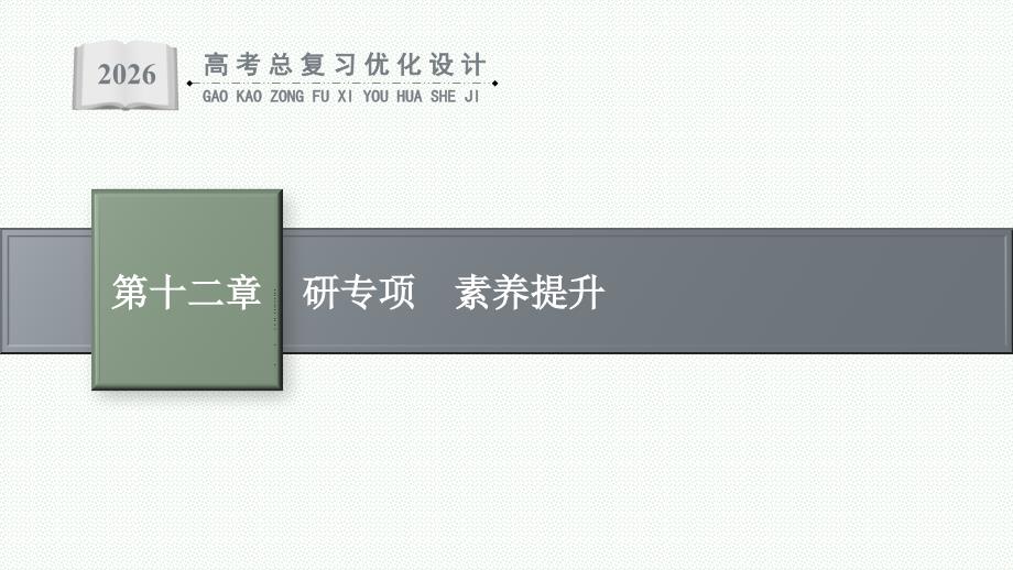 2026年高考总复习优化设计一轮复习物理（广西版）-研专项　素养提升(9)_第1页