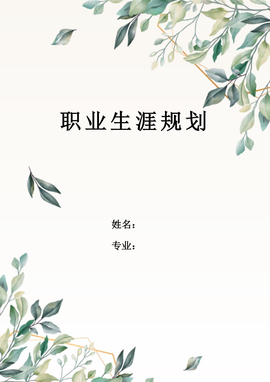 1电子商务专业-大学生职业规划书6(1)_第1页