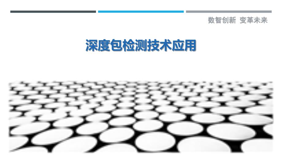 深度包检测技术应用最佳分析_第1页