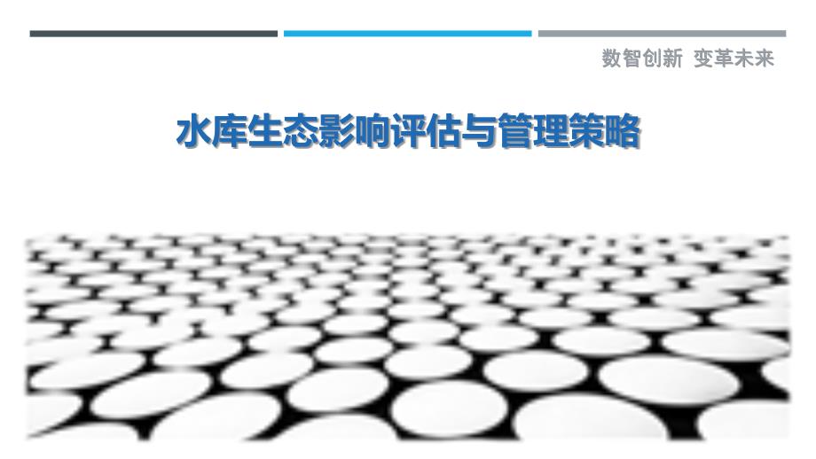 水库生态影响评估与管理策略最佳分析_第1页