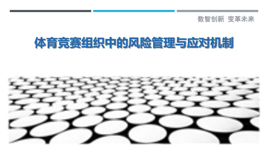 体育竞赛组织中的风险管理与应对机制最佳分析_第1页