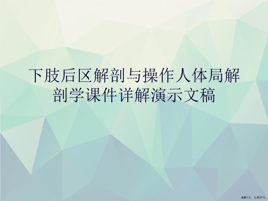 下肢后区解剖与操作人体局解剖学课件详解_第1页