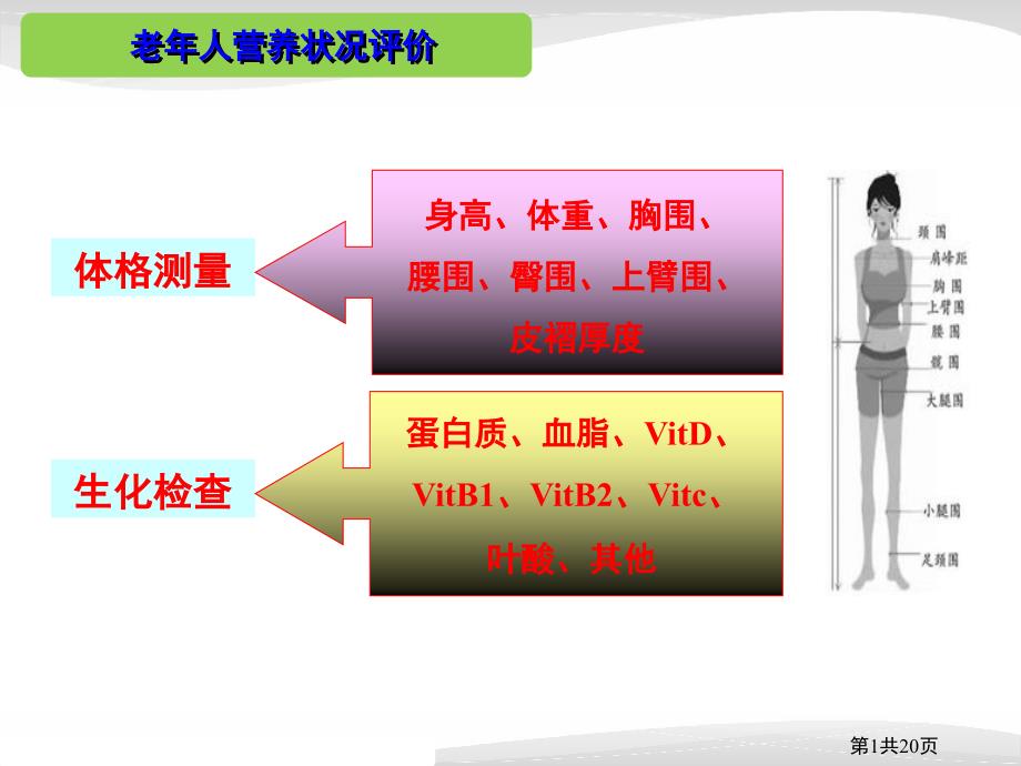 老年人营养与膳食（第二版）课件：老年人营养状况评价_第1页