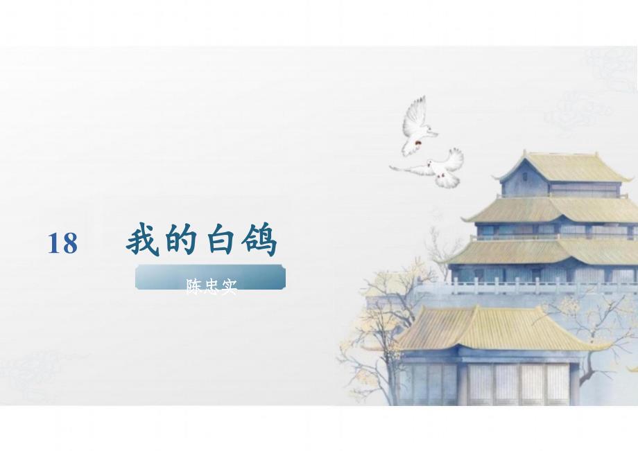 第18课《我的白鸽》 统编版语文七年级上册_第1页