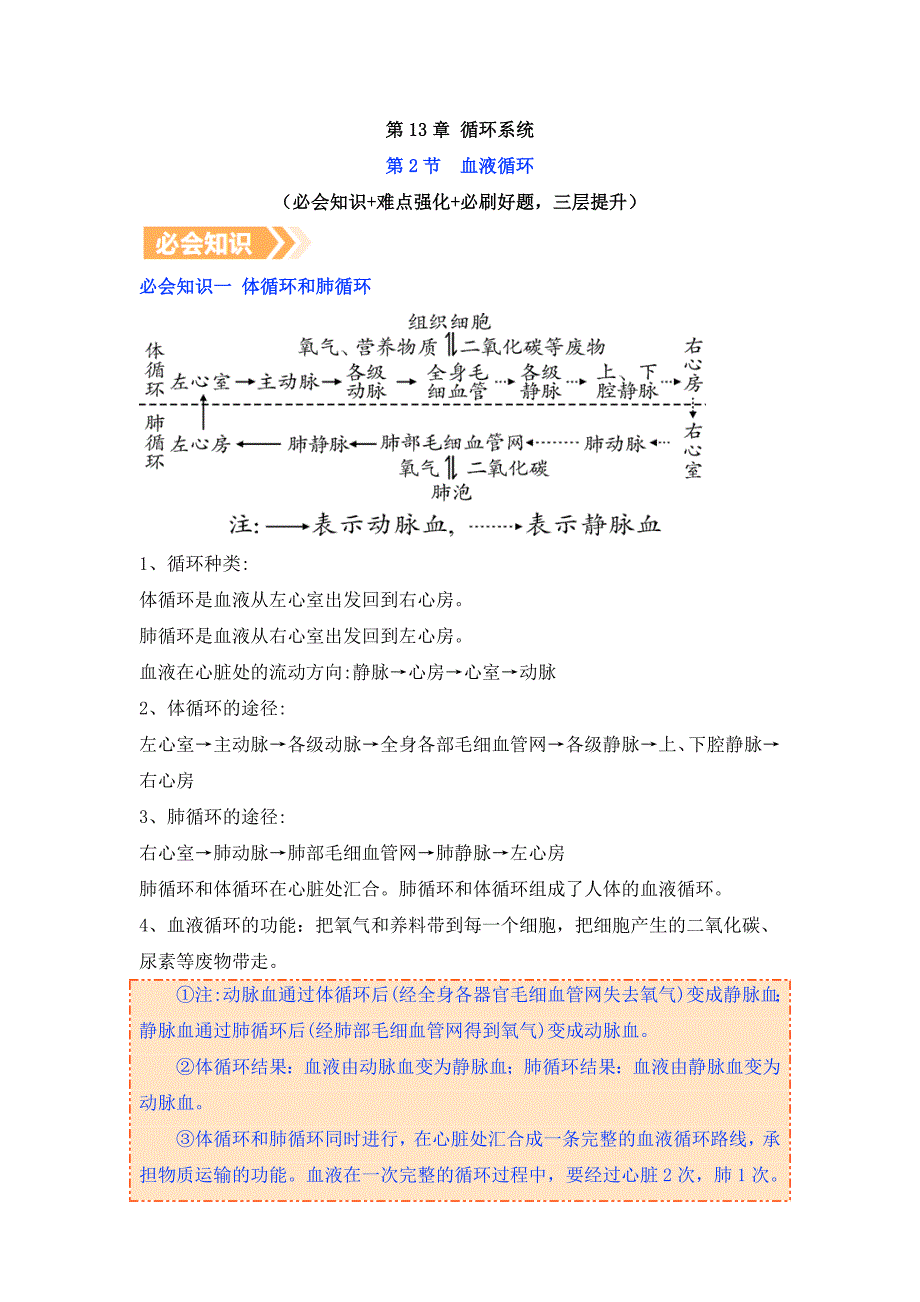 苏教版（2024）新教材八年级生物上册第五单元第13章第二节《血液循环》提升讲义（含答案）_第1页