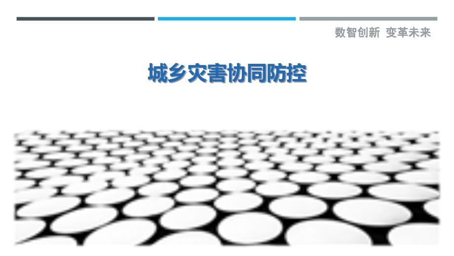 城乡灾害协同防控详细解析_第1页